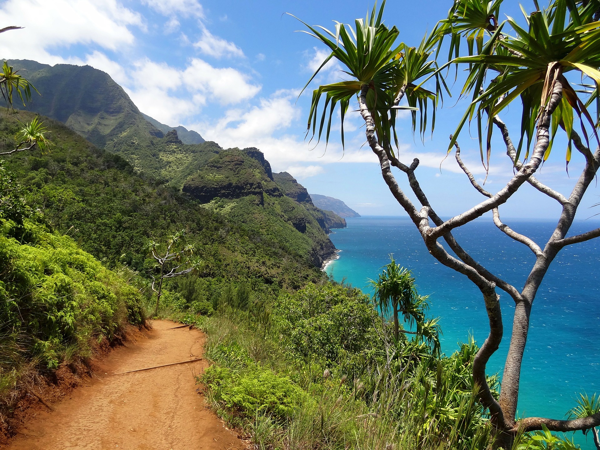 Hiking trail near your Kauai retreat with Premier Kauai.