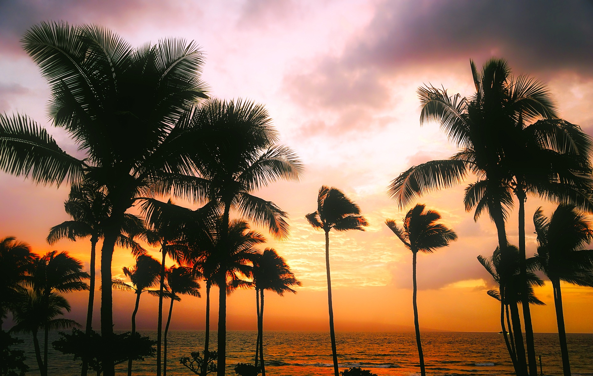 Airbnb Rentals in Hawaii
