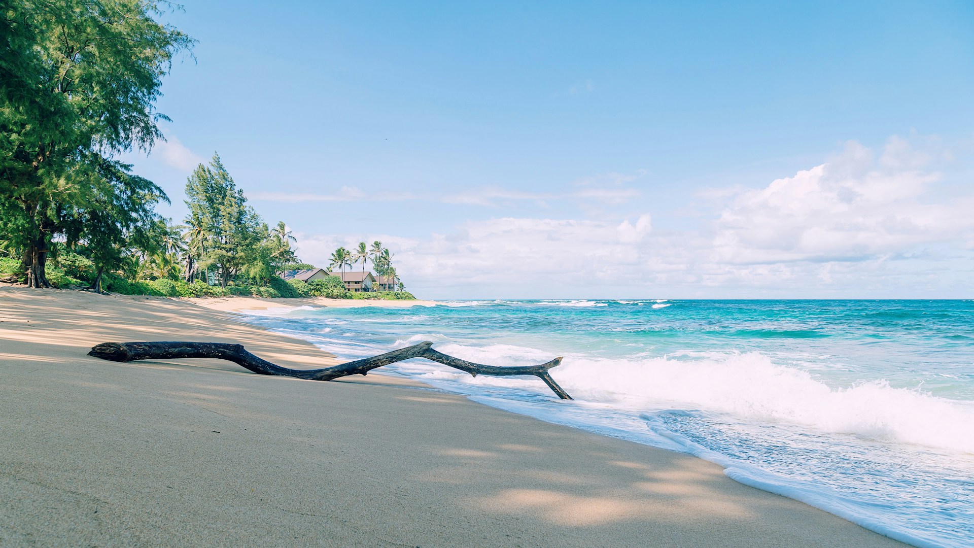 Kauai, Hawaii things to do for presidents day